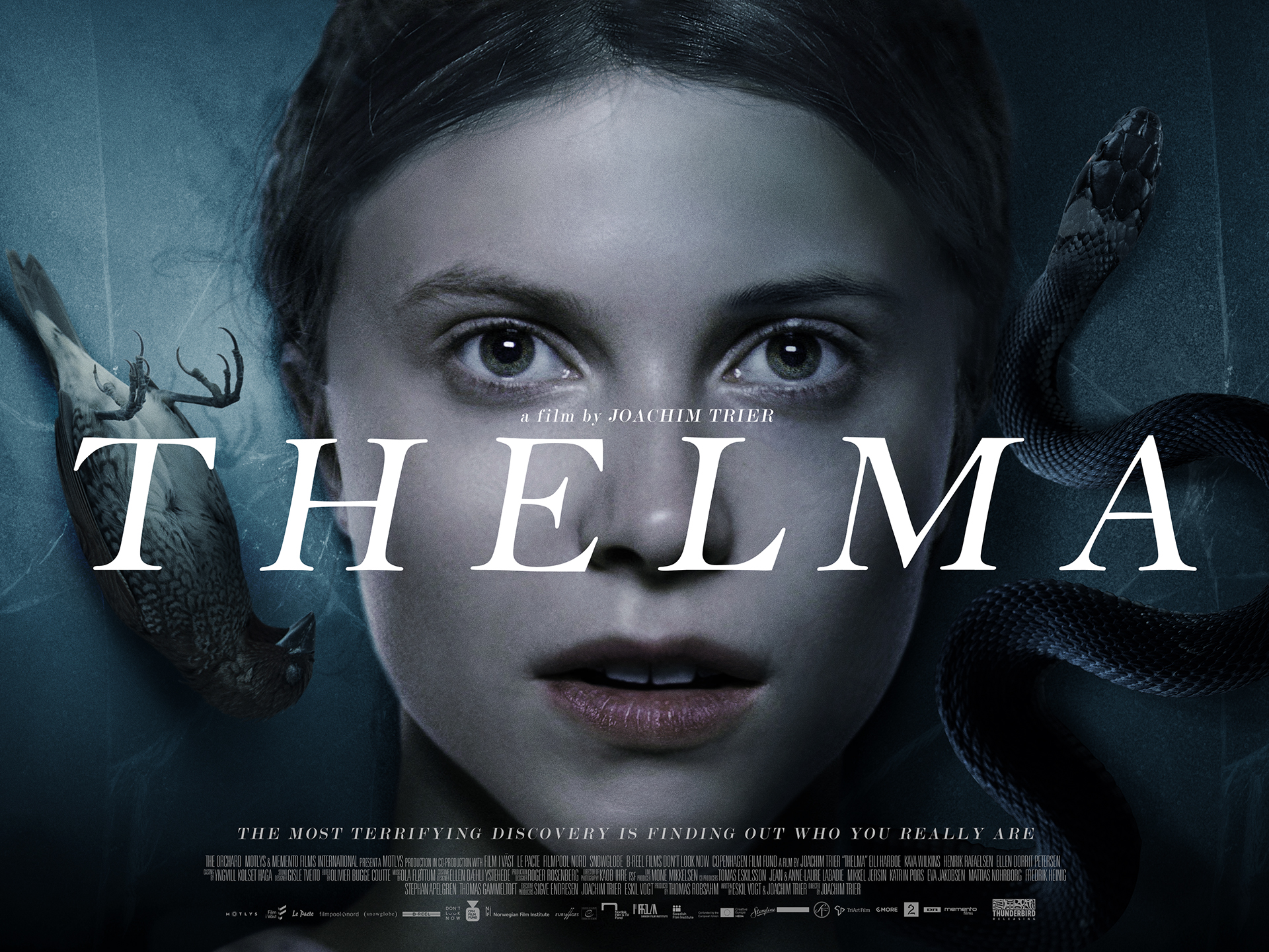 00adb158945061.5a0f06217f956